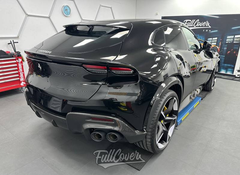 Purosangue face arrière