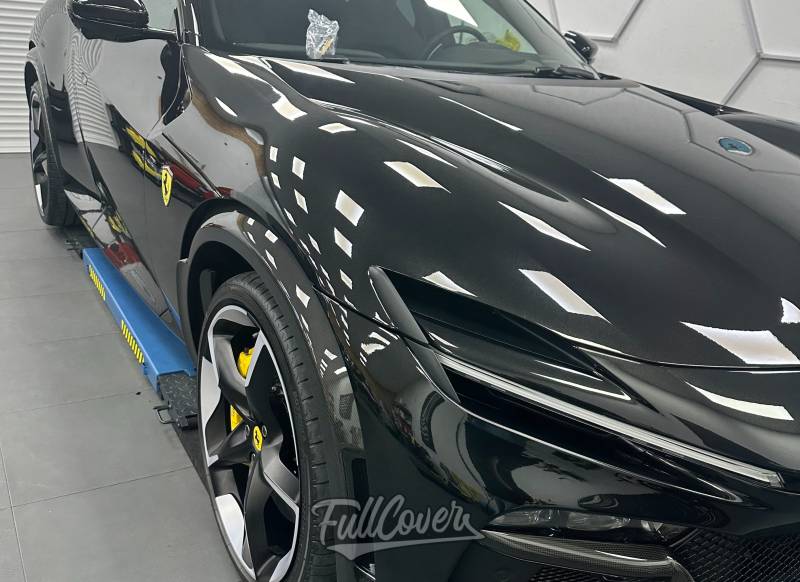 Purosangue face avant