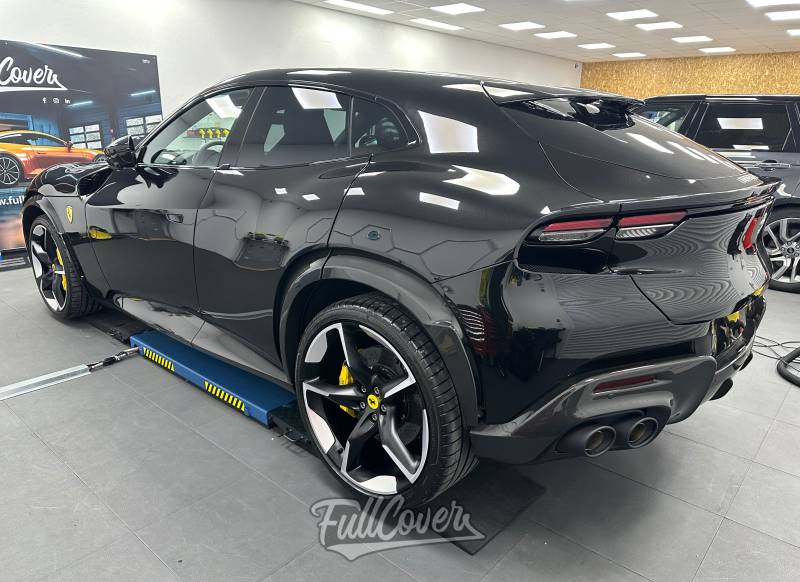 Purosangue aile droite